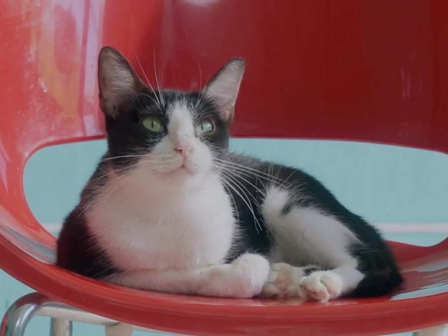 2023年もありがとうございました！映画の進捗を報告させていただきます！