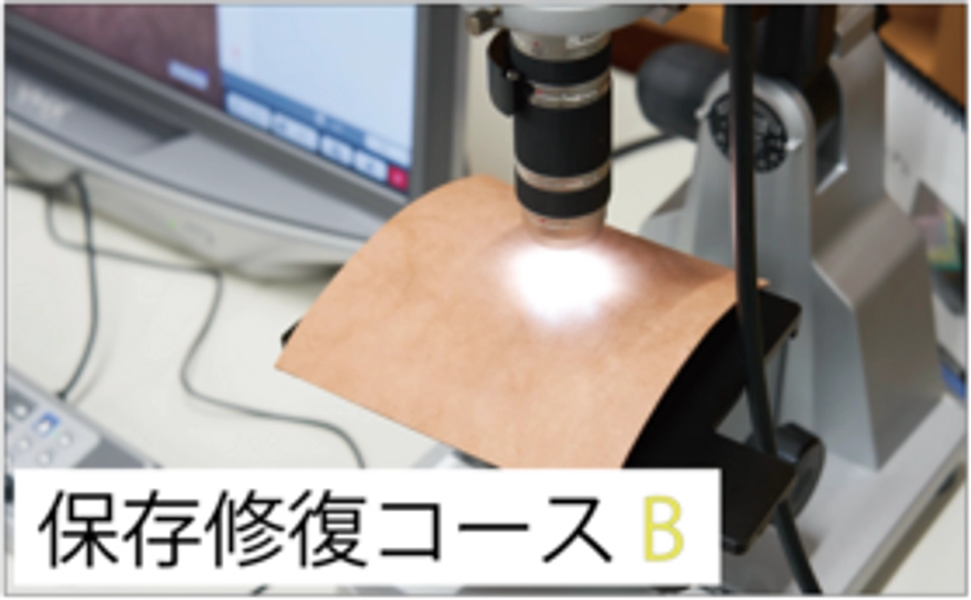 保存修復コース：B（科学調査の半日体験）