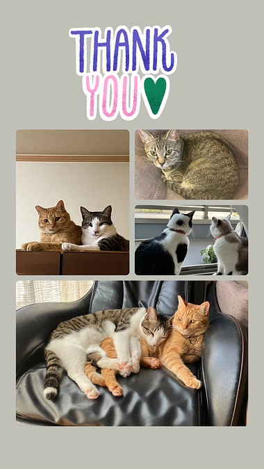 岡山理科大学獣医学部獣医学科卒里親様