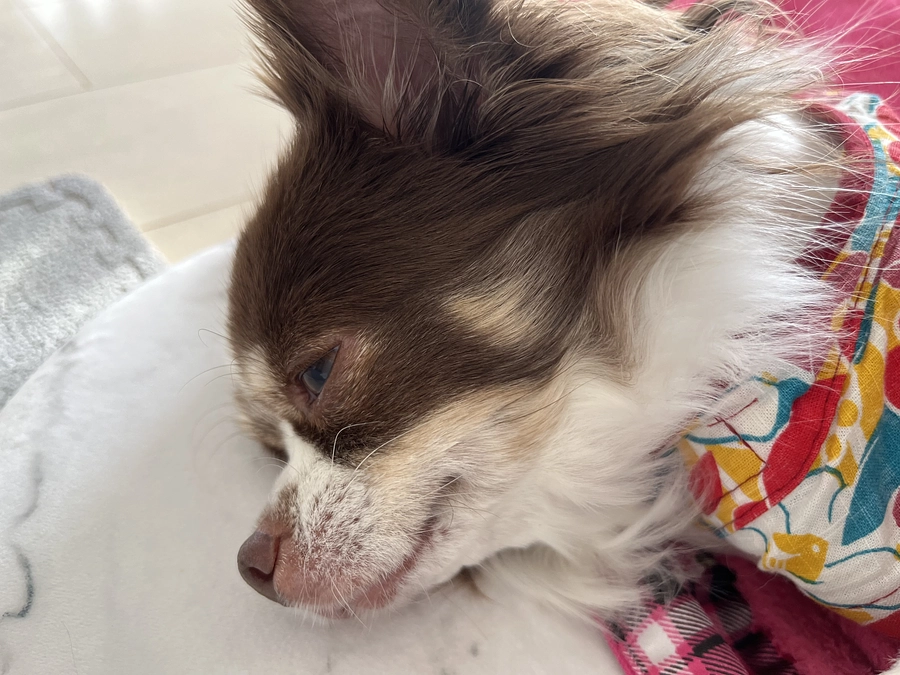 2024.01.06 明日は術後一ヶ月検診です🏥