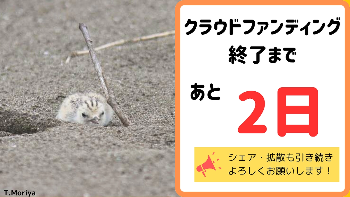 【残り２日】沢山の応援をありがとうございます！