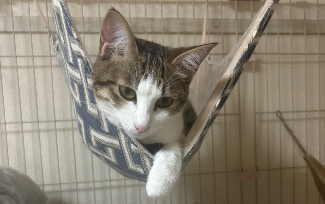 通院3回目　投薬23日目のご報告