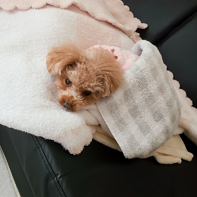 残り44日となりました。