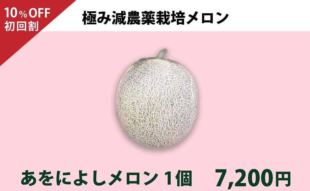 【初回割10%Off】極み減農薬　あをによしメロン　1個