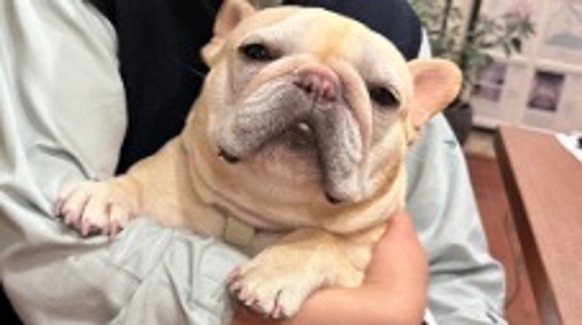 経過報告⑦【残りあと10時間となりました】