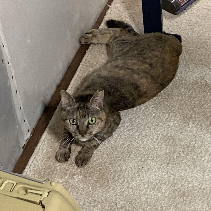 うめちゃん　病院へ行ってきました