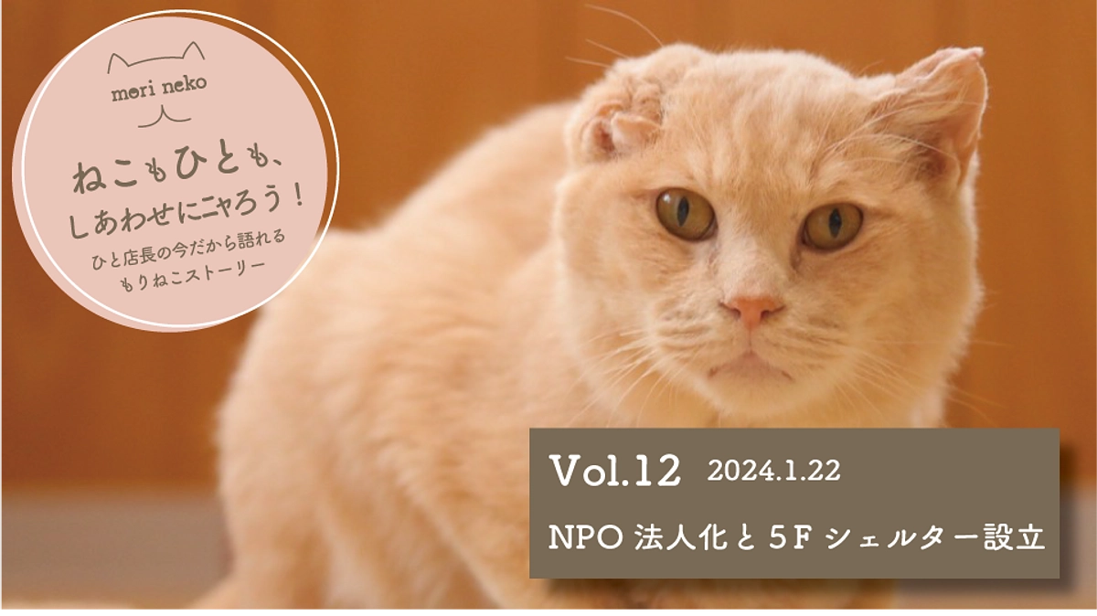 ねこもひとも、しあわせにﾆｬろう！vol.12 　NPO法人化と５Fシェルター開設！
