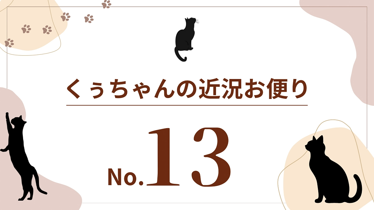 【くぅちゃんの近況おたより（8月20日）】