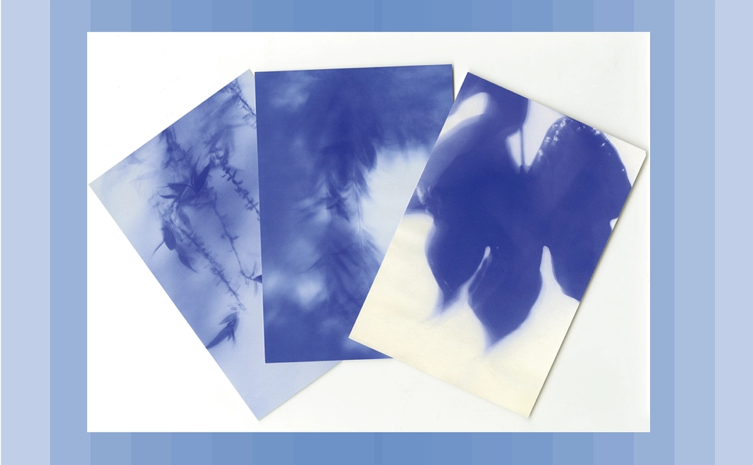 【オリジナルポストカード5枚】プラン