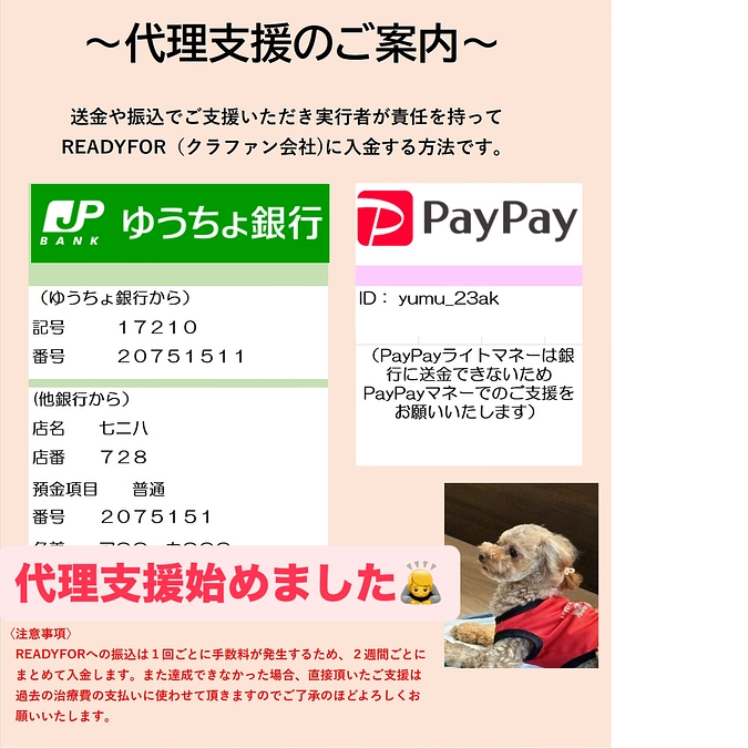 １１月１１日のゆむ君