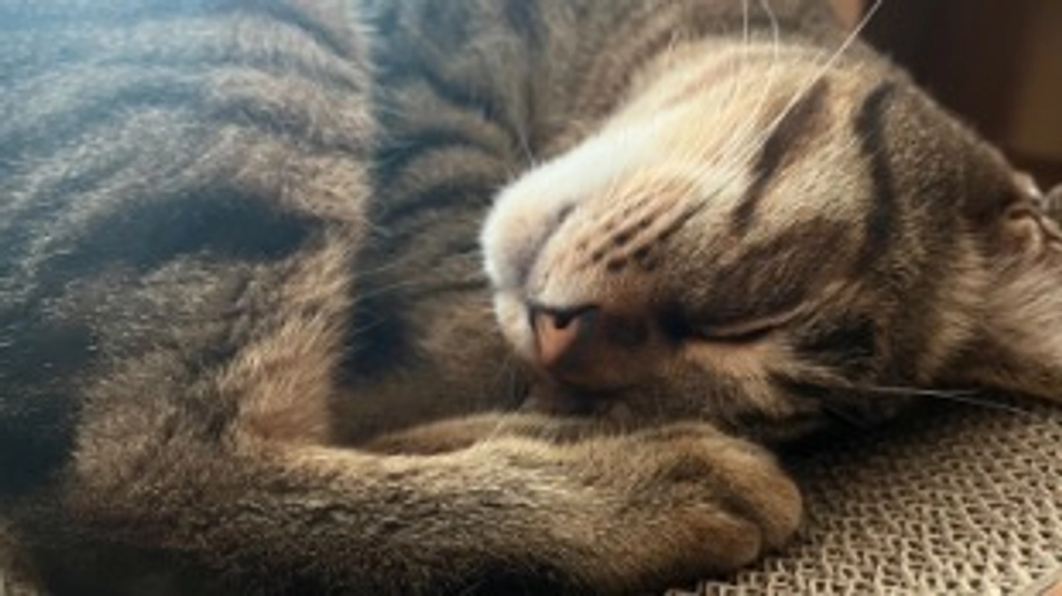 【今日のなっちゃん】6月20日