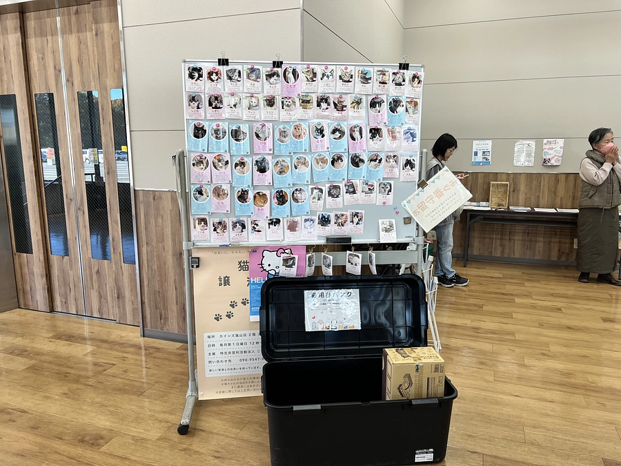 12/1 （日）カインズ様にて譲渡会でした。次は12/15（日）大里不動産さまにて！