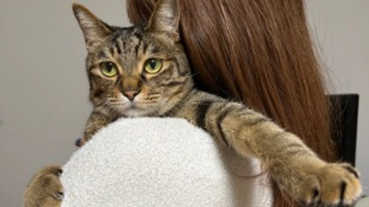 【今日のなっちゃん】6月21日