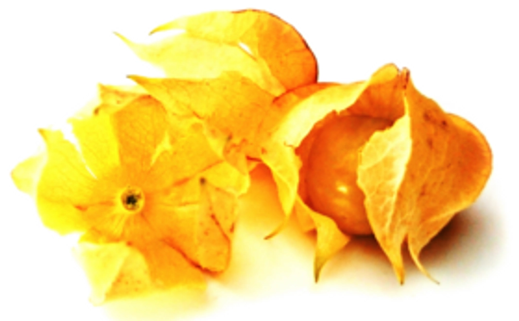 5,000円ご支援コース