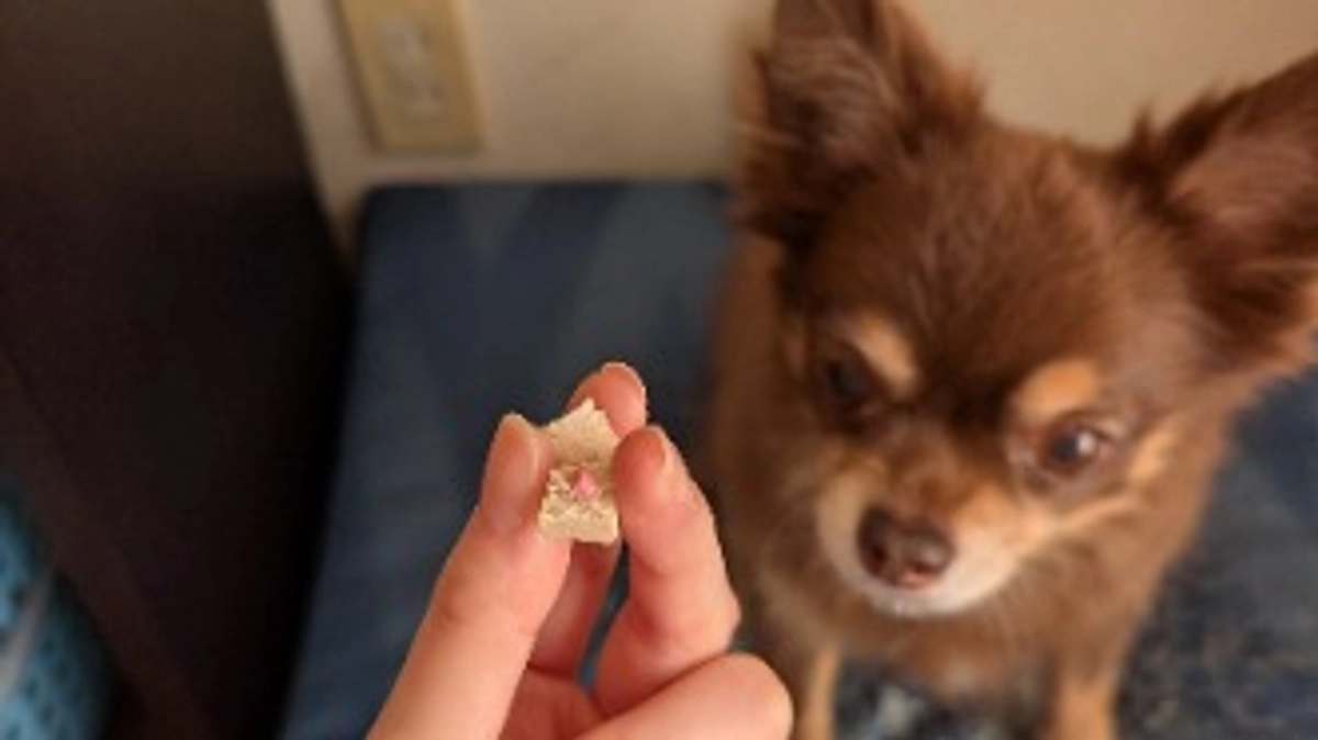 クラウドファンディング４日目❢