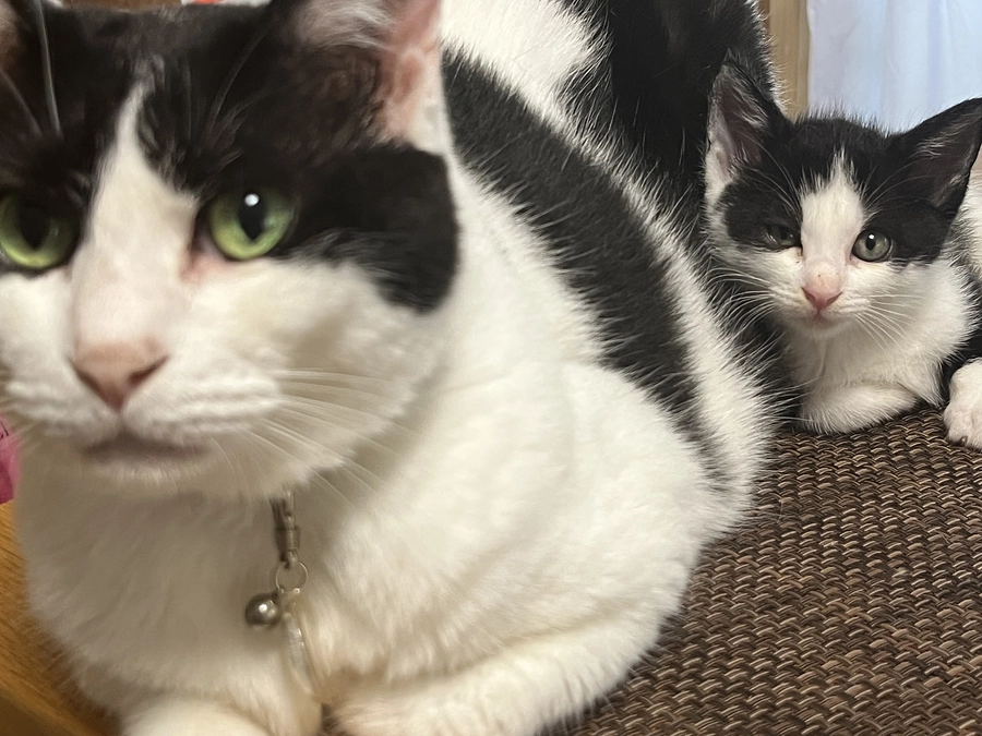 仲間との出会い⑦