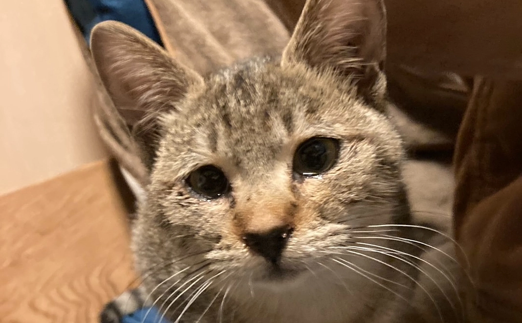 お気持ち支援│5,000円