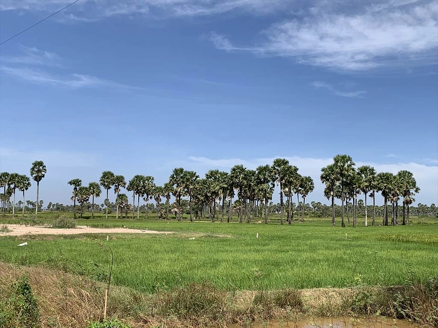 カンボジアにはまだある手つかずの自然