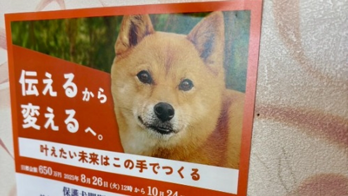 応援コメントのご紹介①