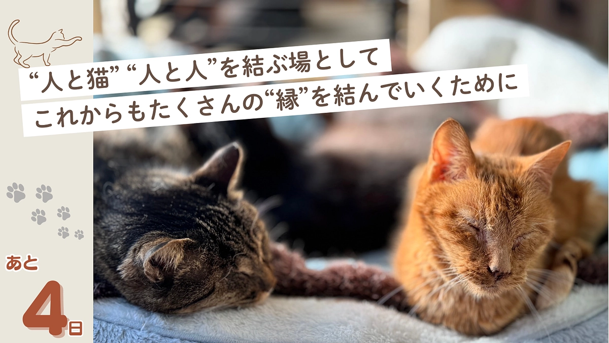 【プロジェクト終了まで残り4日】いただいた応援コメントのご紹介②