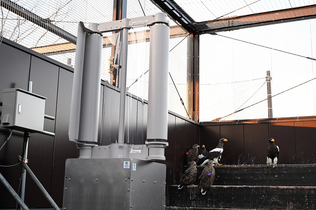 サンデーステーションで放送された動画、ぜひご覧いただきたいです