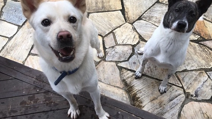 オリジナル商品開発販売によって、出逢いの森を継続支援したい