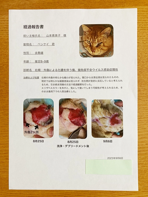 9月6日入院13日目　経過報告書