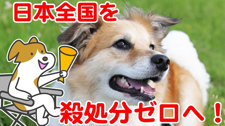 日本全国を殺処分ゼロへ！皆で考える前向きな映画を作りたい！