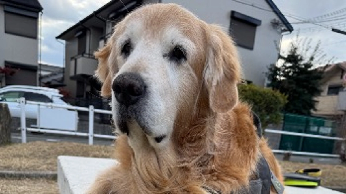 今日は爆弾デー