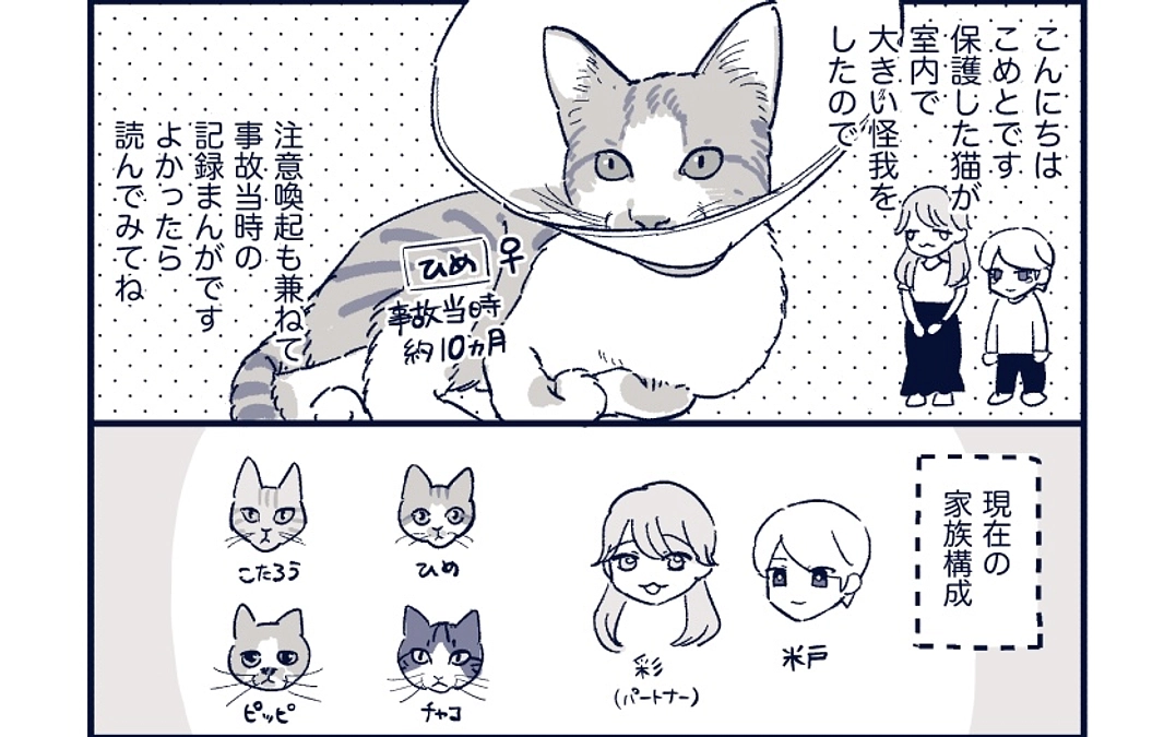 ⚠️ひめの室内事故について/注意喚起の漫画🐾