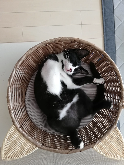 元気に育っています