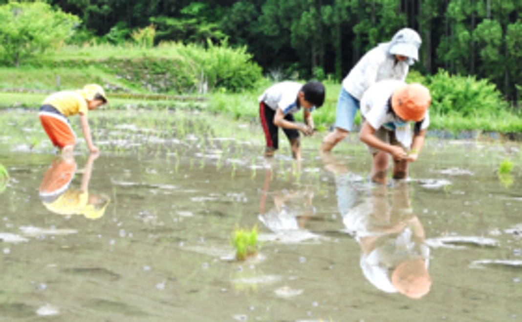 田植え体験にご招待！
