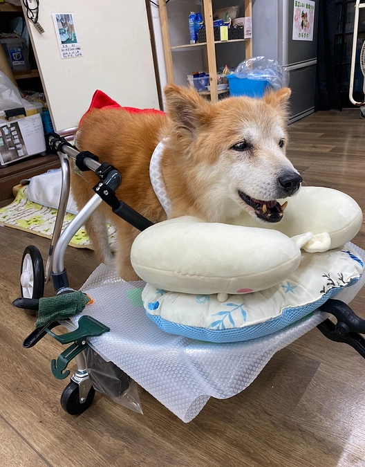 三太くんへ みんなから素敵なプレゼント！