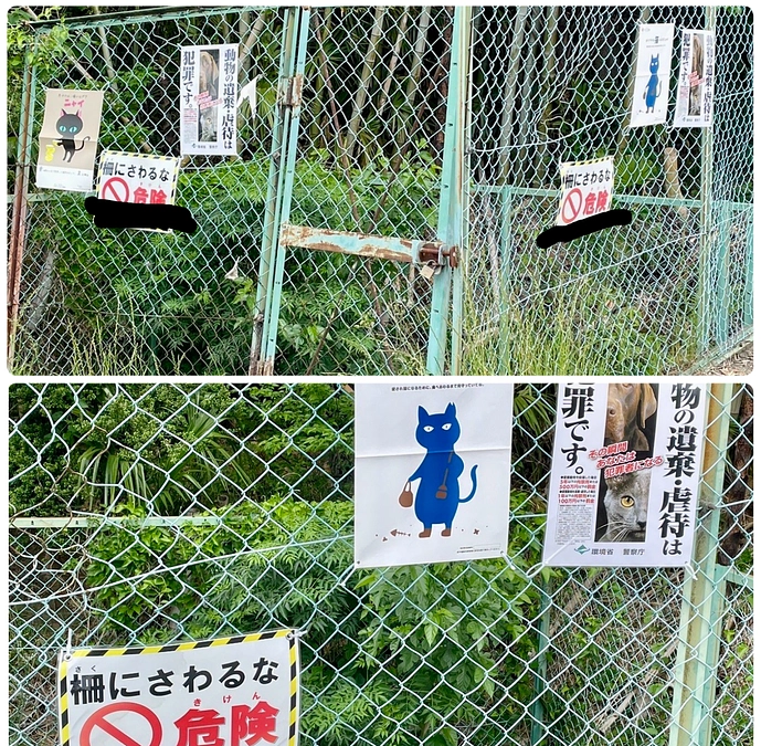 遺棄は犯罪です！ポスターからの里親募集です🍼
