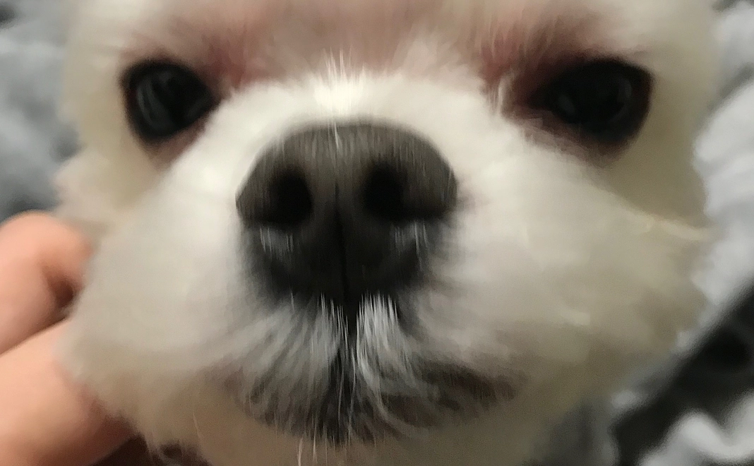 1.感謝のメール