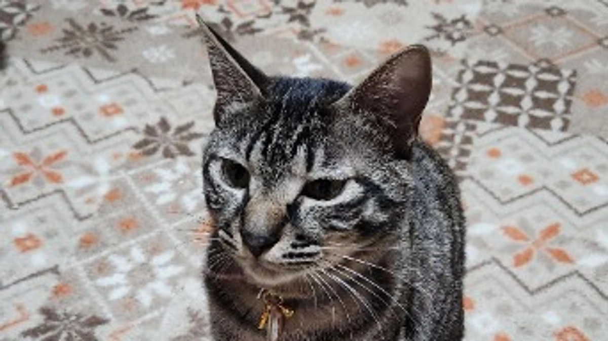 【経過観察三ヶ月検診の結果】