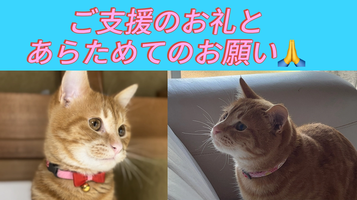 ご支援のお礼とあらためてのお願い🙏