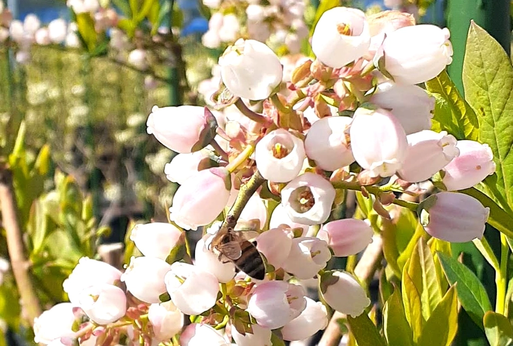 ご支援と温かい応援を有り難うございました!