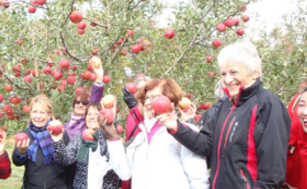 【お越しいただける方】りんご狩り(食べ放題30分!)2名様