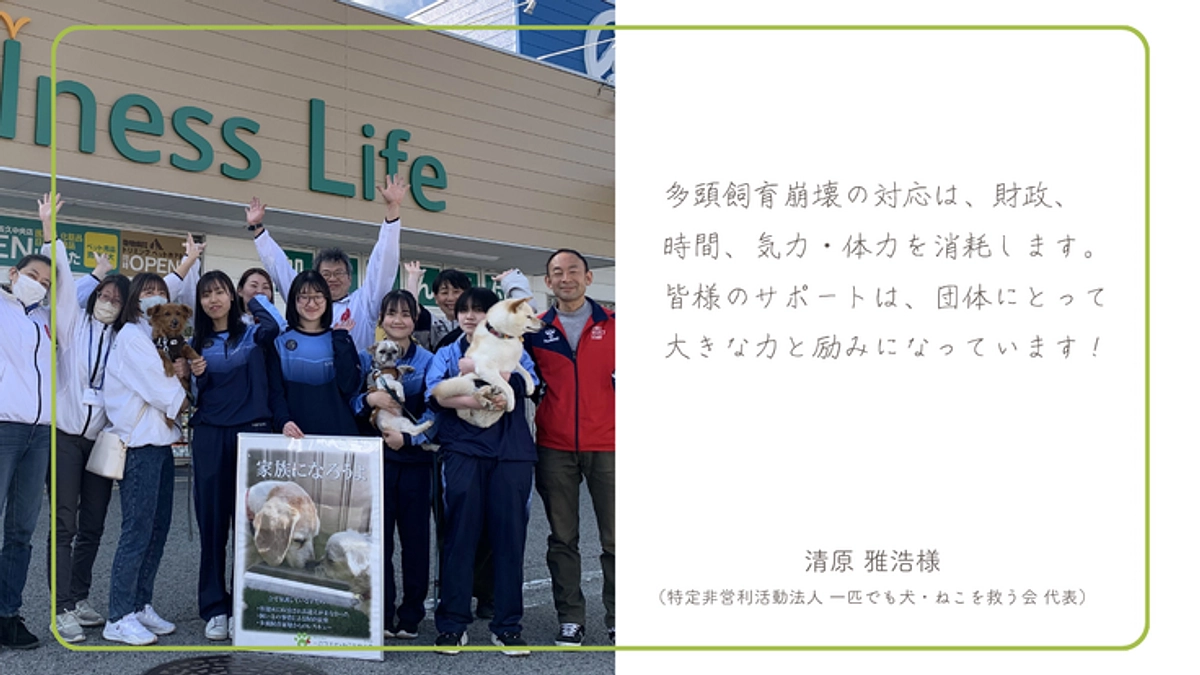 清原雅浩様（特定非営利活動法人 一匹でも犬・ねこを救う会）から応援メッセージをいただいております！