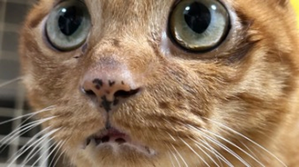 5/31 病院へ行ってきました