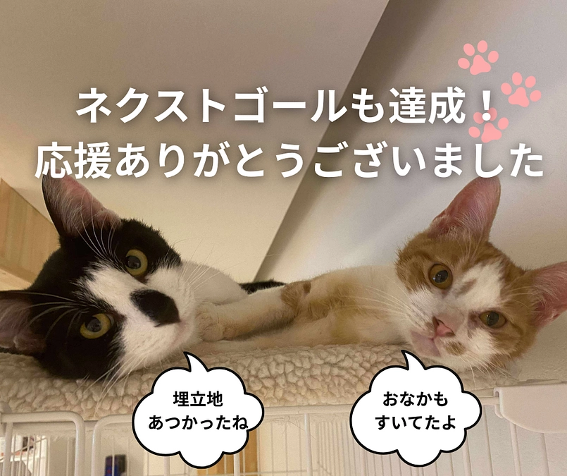 クラウドファンディングへのご支援、本当にありがとうございました