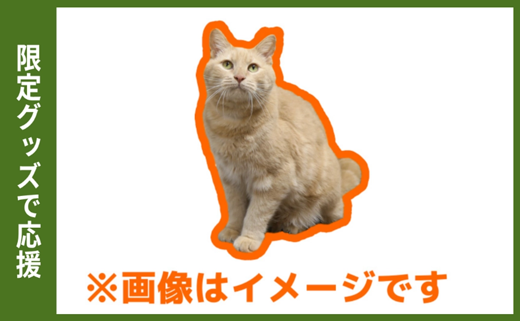 限定グッズで応援｜ネコ科ステッカー4枚セット