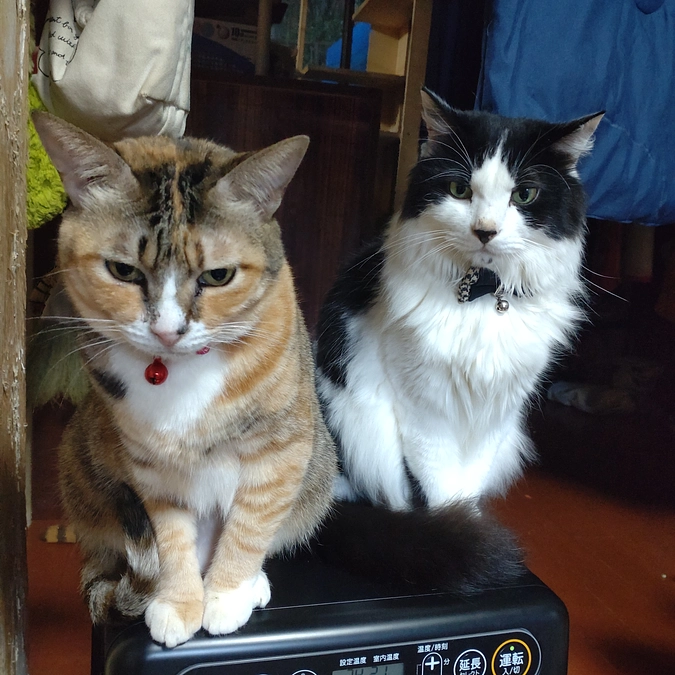 あったかいもんねっ⤴