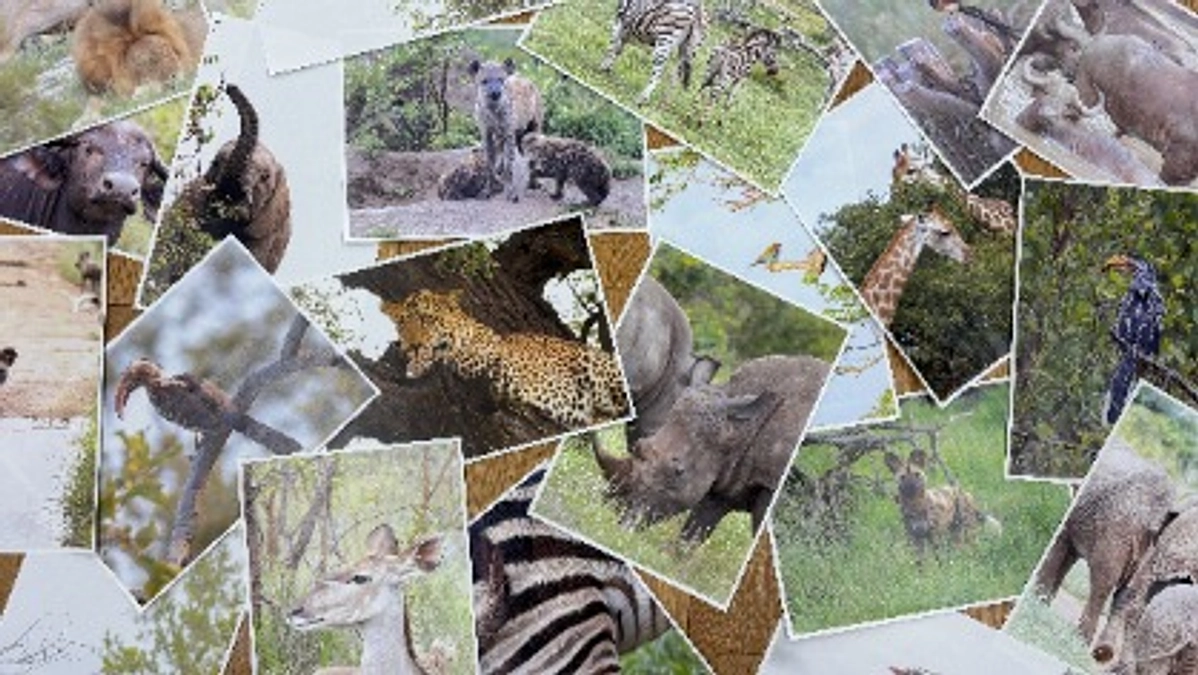 -ご支援のお願い- 残り72時間で223,000円のご支援が必要です！！