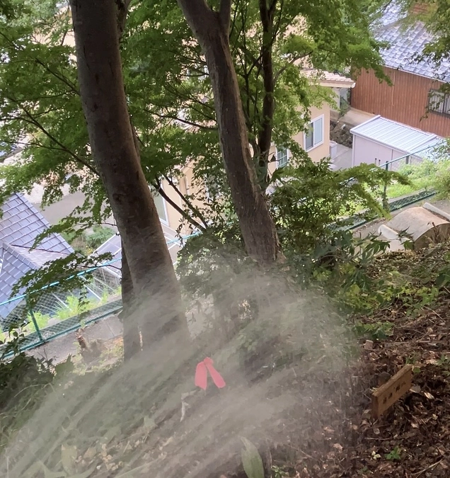 住職のひとりごとコラム：進捗状況