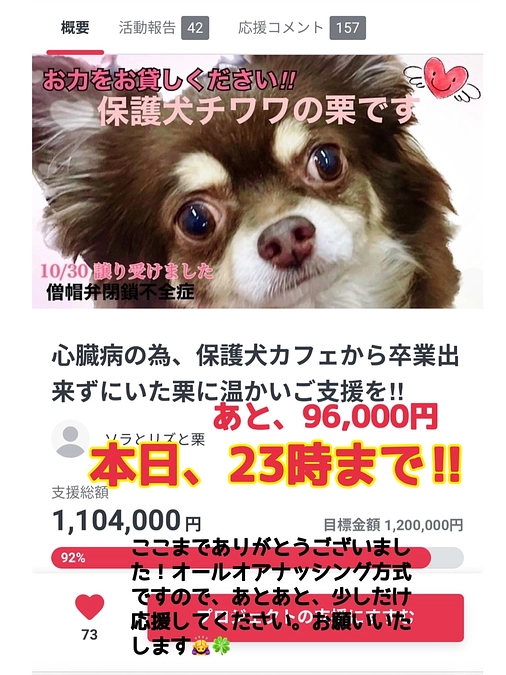 2024/1/28(日)  残り13時間‼️となりました‼︎