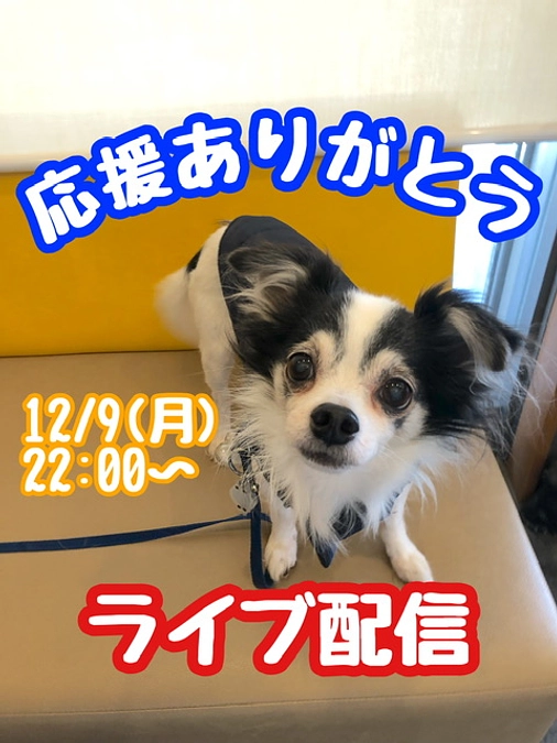 インスタライブ配信