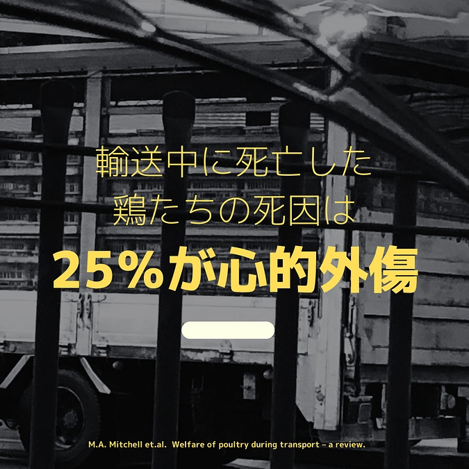 心的外傷（トラウマ）で死ぬってどういうこと？！
