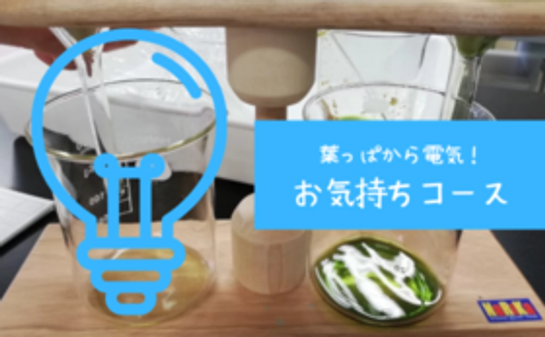 葉っぱから電気！お気持ちコース